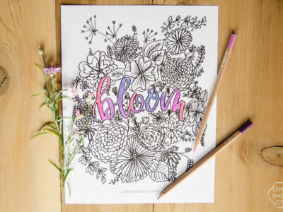 Love this free printable coloring sheet! Plus the hand lettering and floral illustrations are rad. Perfect for summer