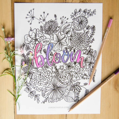 Love this free printable coloring sheet! Plus the hand lettering and floral illustrations are rad. Perfect for summer