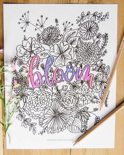 Love this free printable coloring sheet! Plus the hand lettering and floral illustrations are rad. Perfect for summer