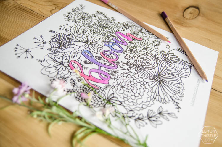 Love this free printable coloring sheet! Plus the hand lettering and floral illustrations are rad. Perfect for summer