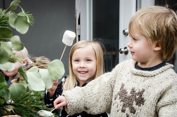 Backyard s'mores activity- perfect for an advent calendar activity- love the idea of doing them over candles too