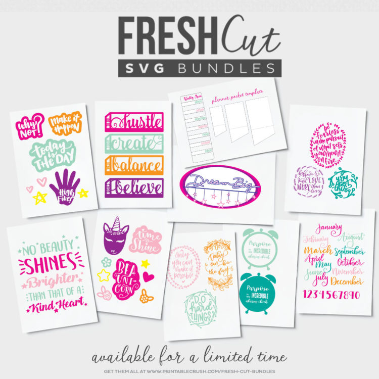 Love these SVG files! All those handlettered inspirational quotes and planner elements. perfect for the new year!