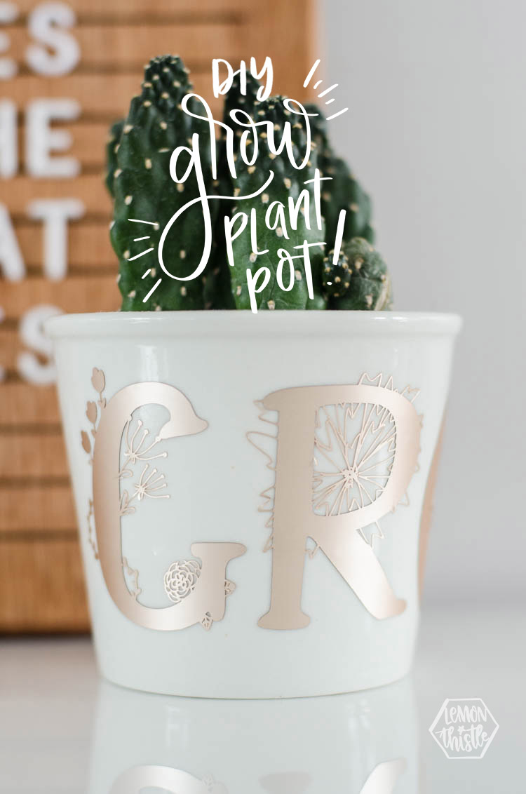 detail shot of white plant pot holding cactus with floral monograms spelling 'grow' in champagne colored matte foil; text overlay reads 'DIY Grow Plant Pot'