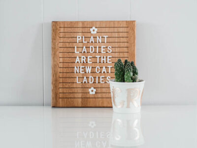 white plant pot holding cactus with floral monograms spelling 'grow' in champagne colored matte foil; in front of wooden letterboard that reads; plant ladies are the new cat ladies