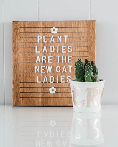 white plant pot holding cactus with floral monograms spelling 'grow' in champagne colored matte foil; in front of wooden letterboard that reads; plant ladies are the new cat ladies