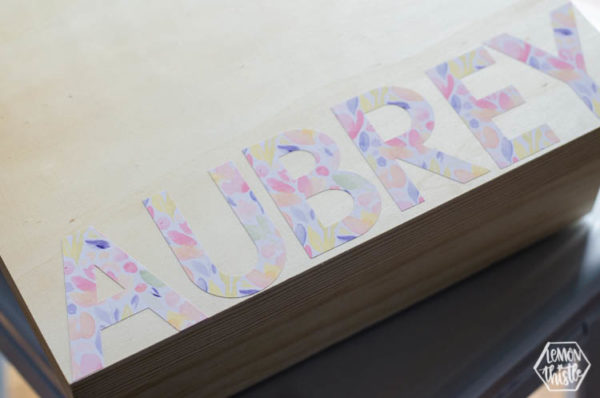 How To Use Printable Vinyl - Silhouette VS Cricut - Lemon Thistle