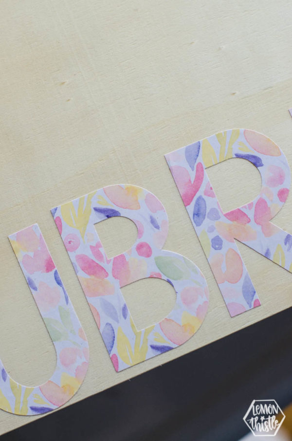 How To Use Printable Vinyl - Silhouette VS Cricut - Lemon Thistle