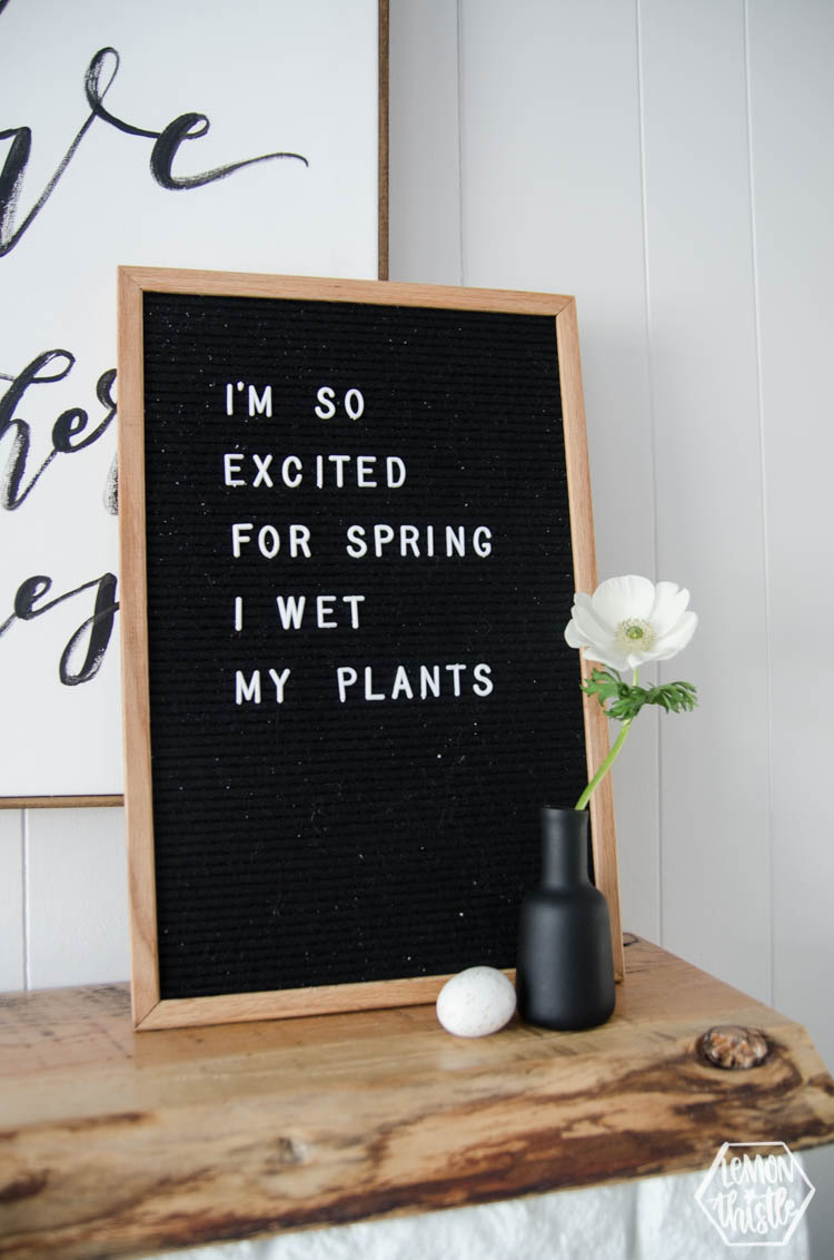Spring Letterboard: I'm so excited for spring I wet my plants