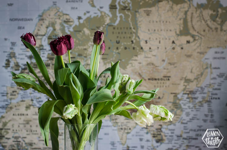 Cleaning your flowers properly