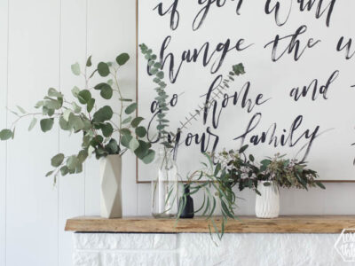 different varieties of eucalyptus