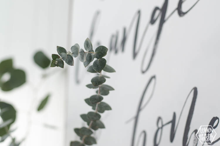 True blue eucalyptus: close up