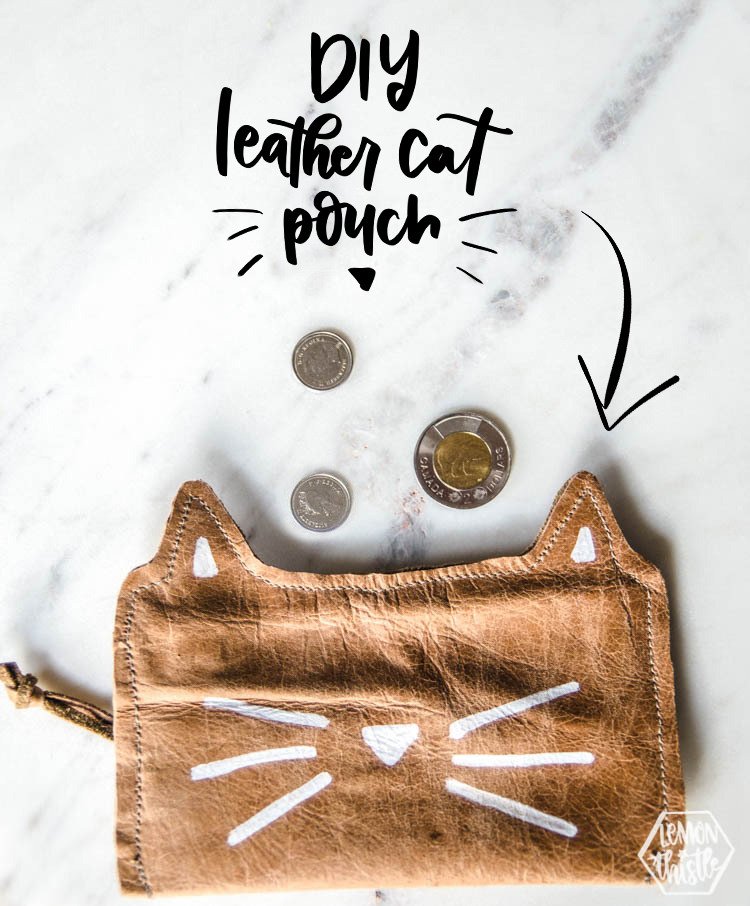 DIY Leather cat pouch