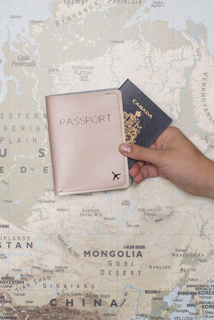 DIY leather passport holder