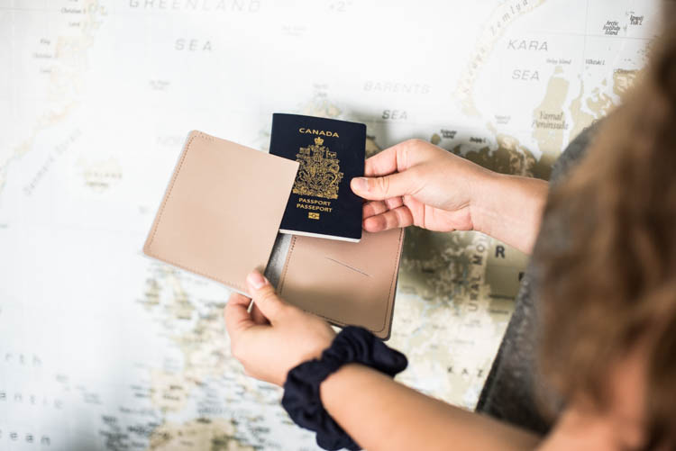 DIY leather passport holder cut with a Cricut! 