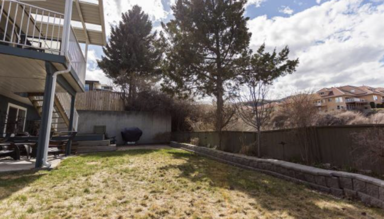 Backyard Before Photos