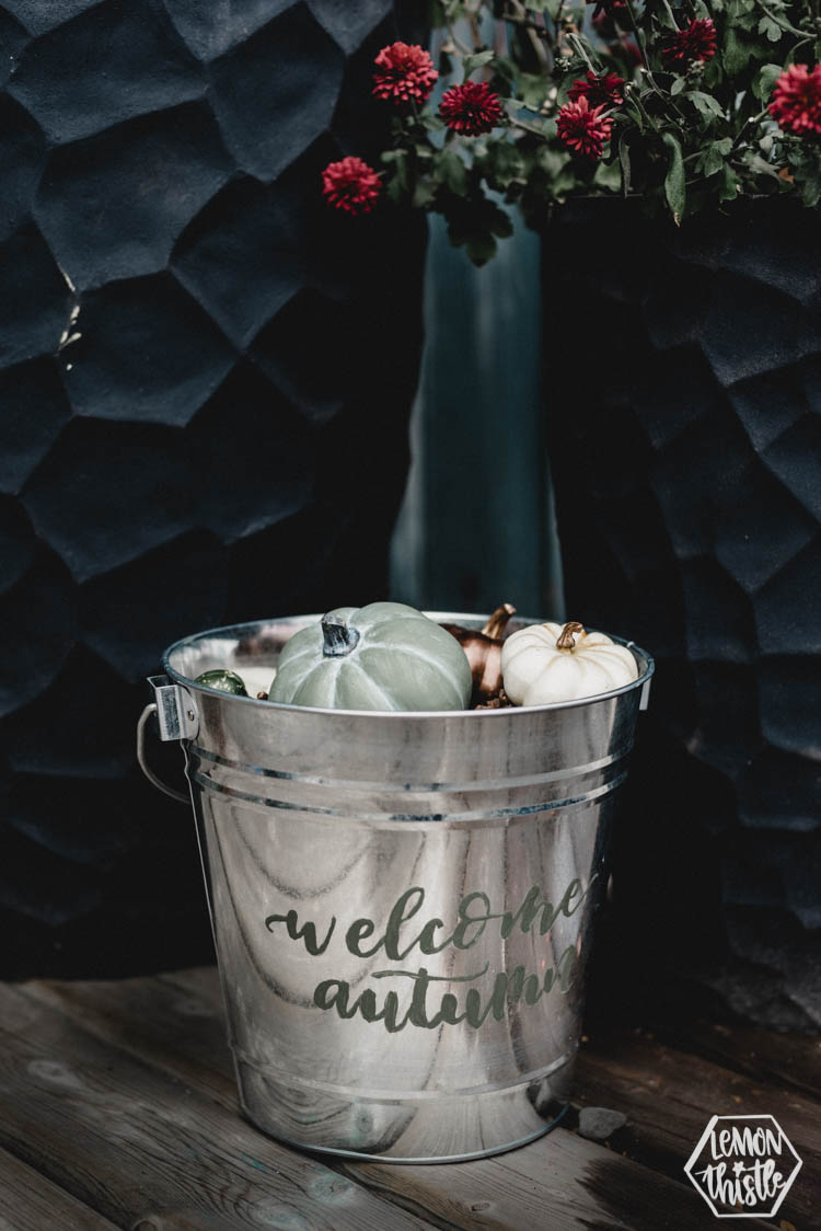 DIY Fall decor... reversible for halloween!