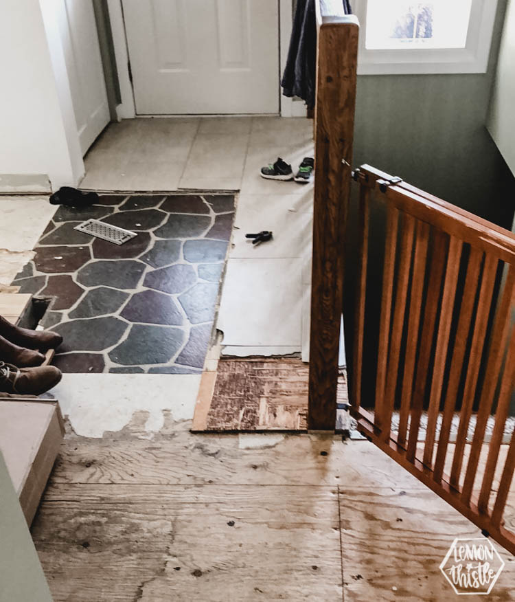 Kitchen Remodel progress update