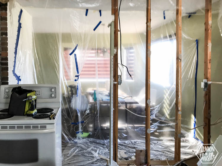 Kitchen Remodel progress update