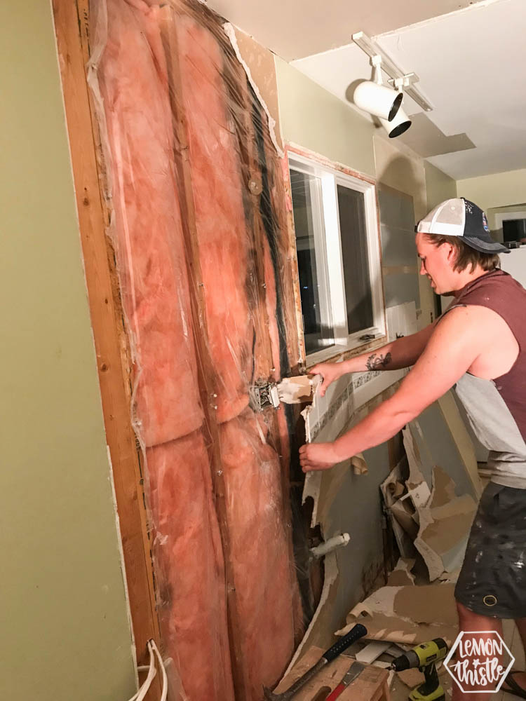 Kitchen Remodel progress update