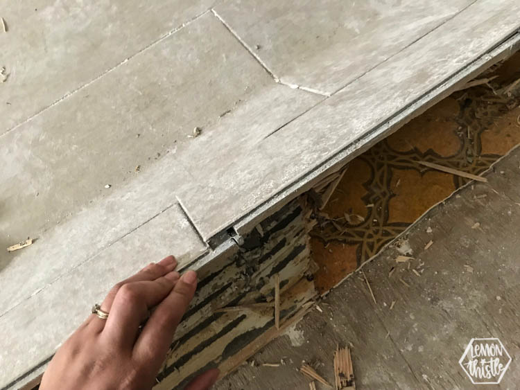Kitchen Remodel progress update