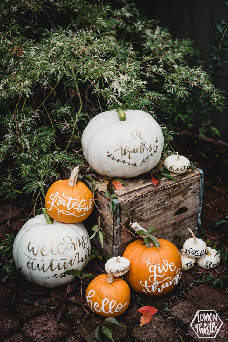 Fall Hand Lettered Pumpkins