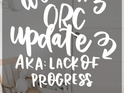 DIY renoation realities- week 3 ORC update