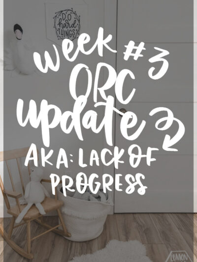 DIY renoation realities- week 3 ORC update