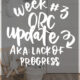 DIY renoation realities- week 3 ORC update