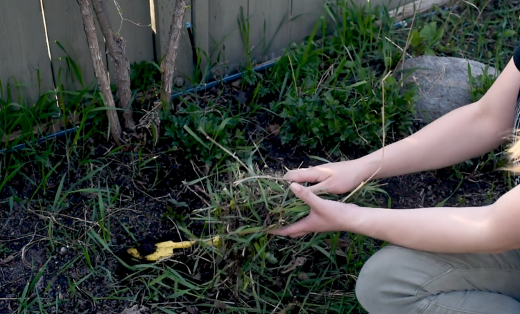 Spring clean up checklist and clean with me