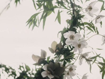 Tips to make your own DIY Summer wreath made from garden clippings