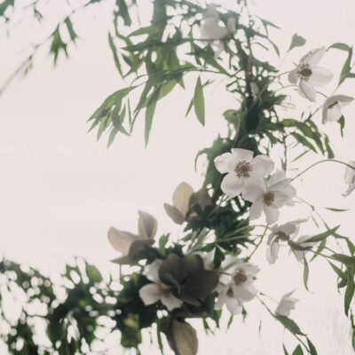 Tips to make your own DIY Summer wreath made from garden clippings