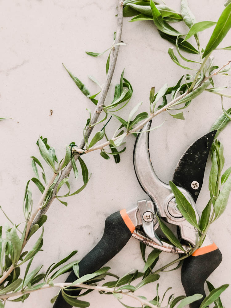 How to make a wreath out of vines