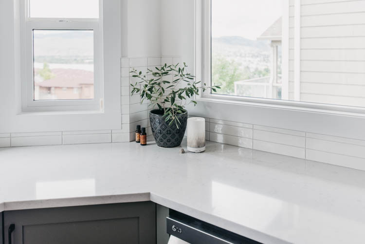 Olive tree in the kitchen with ceramic diffuser... how to decorate a kitchen!