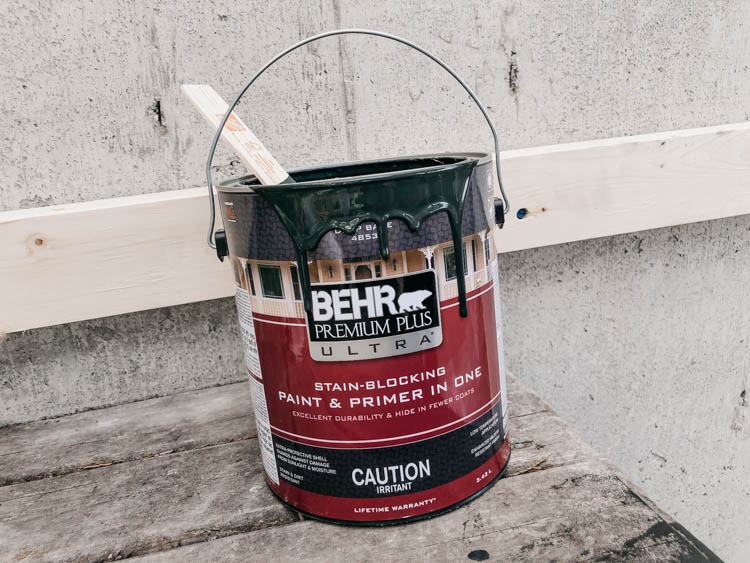 Painting a concrete wall with a paint sprayer- to build a DIY patio screen!