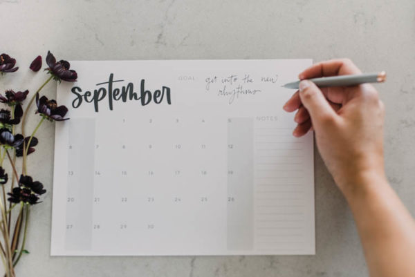 Free Printable calendar for 2020 - minimalist styles in 5 formats