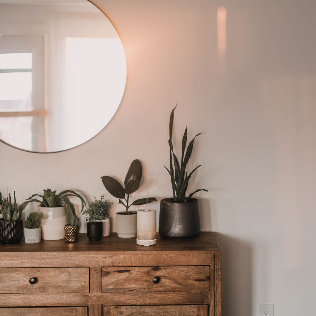 Beautiful ceramic diffuser with all the plants