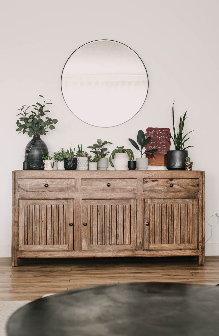 DIY Acrylic Sign on console with plants