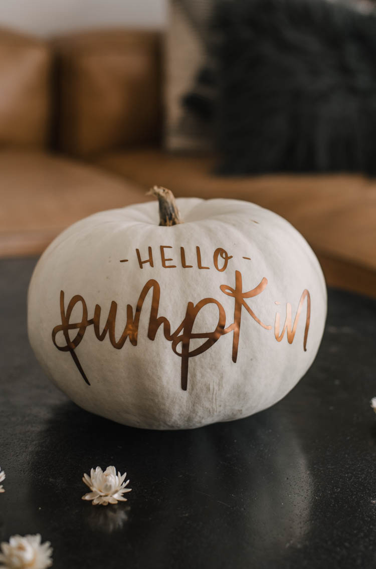 Matte metallic pumpkin with 'hello pumpkin' hand lettered design (free cut file)