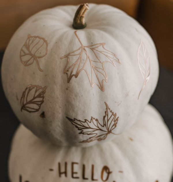 Matte metallic pumpkins! Love the hand lettered 'hello pumpkin' design on this one! Plus free cut file