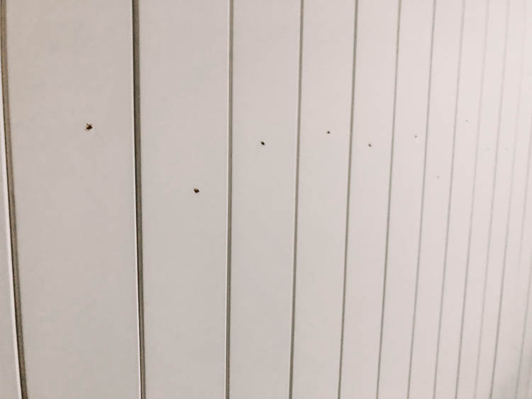 Finishing a vertical shiplap wall- how we fill nail holes and edges