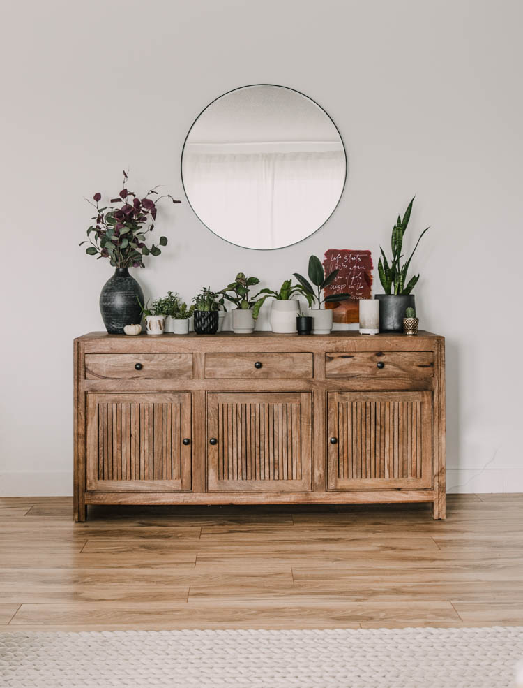 Console cabinet filled with plants and subtle autumn decor
