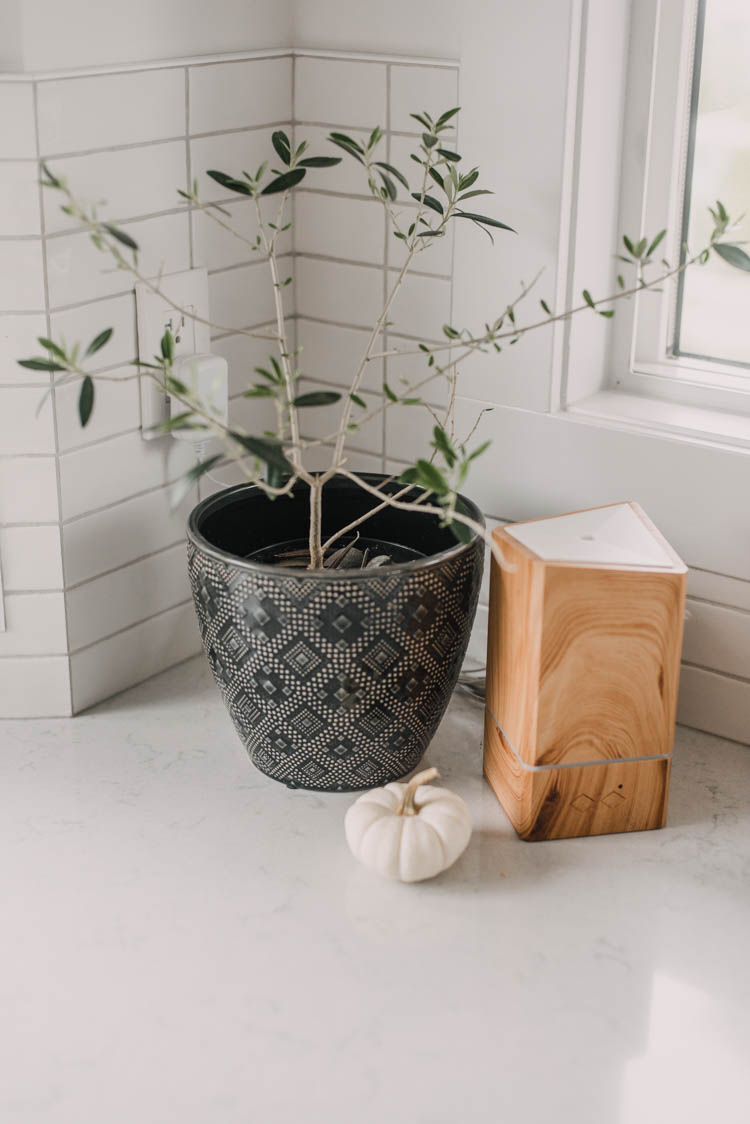 Baby pumpkins for simple fall decorating