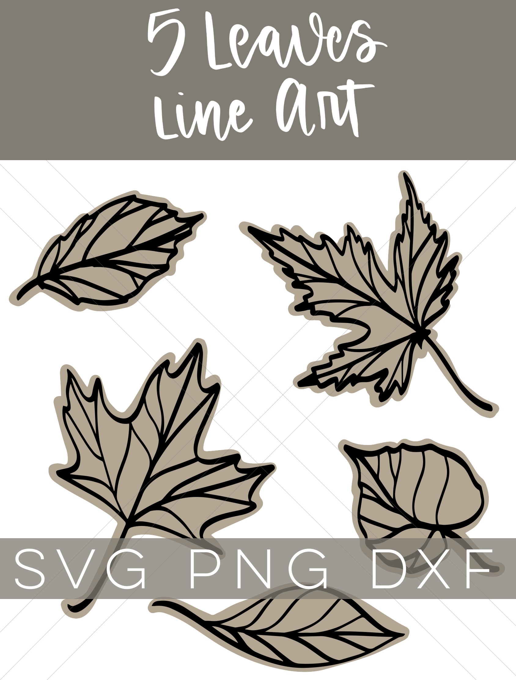 Collage of 5 line art leaves with text overlay - 5 Leaves Line Art SVG PNG DXF