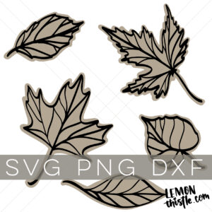 Shop listing image for a bundle of 5 line art leaves