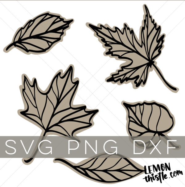 Shop listing image for a bundle of 5 line art leaves