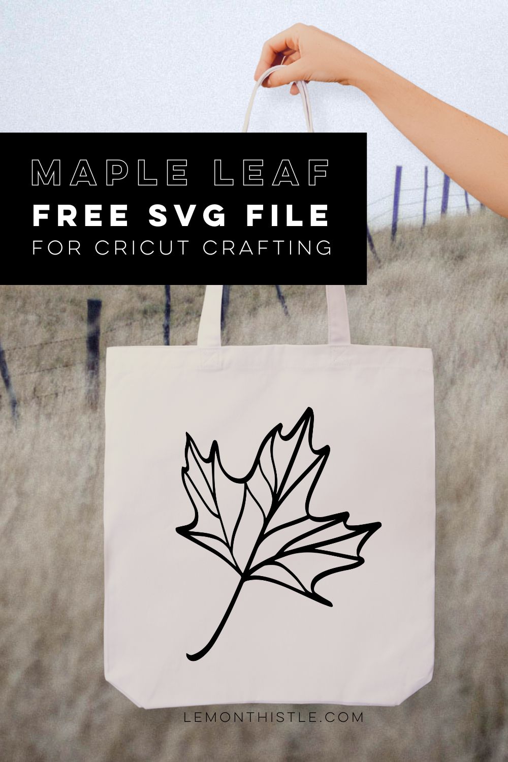 image of maple leaf line art on tote bag in field, text over reads: Maple leaf free SVG file for cricut crafting