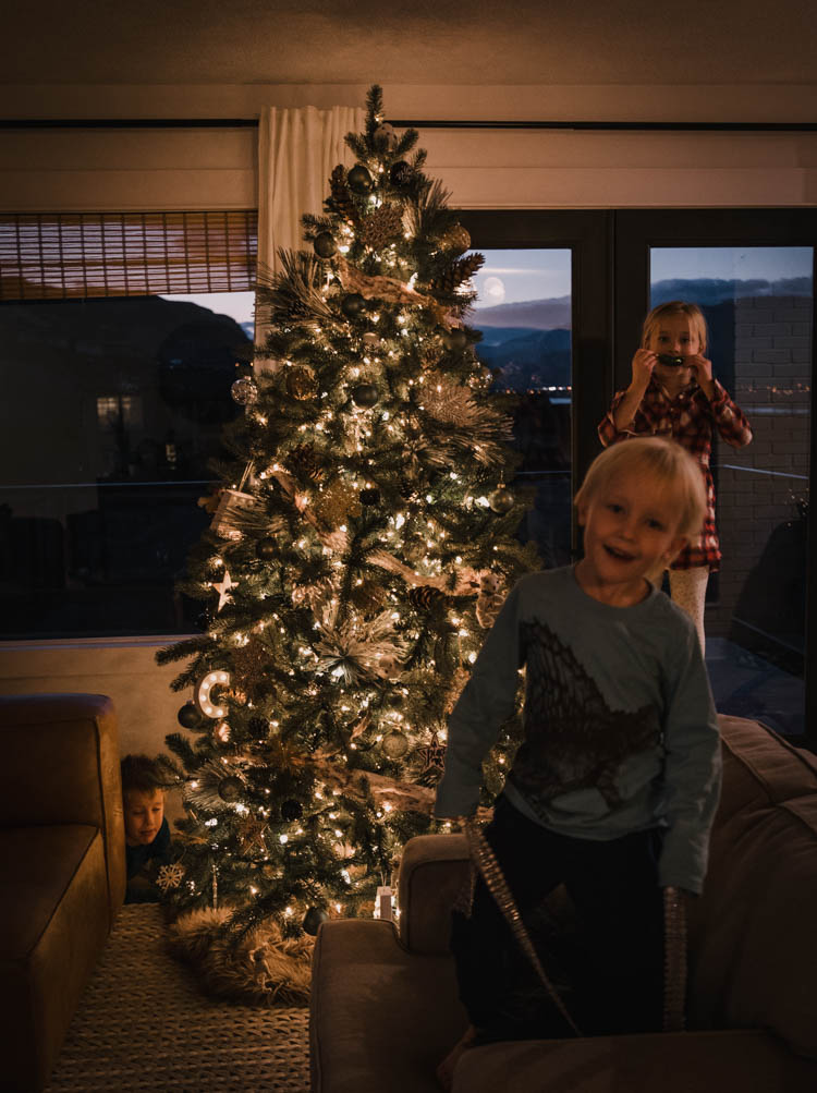 Lots of gorgeous ornaments... that aren't glass! Perfect classy tree for families