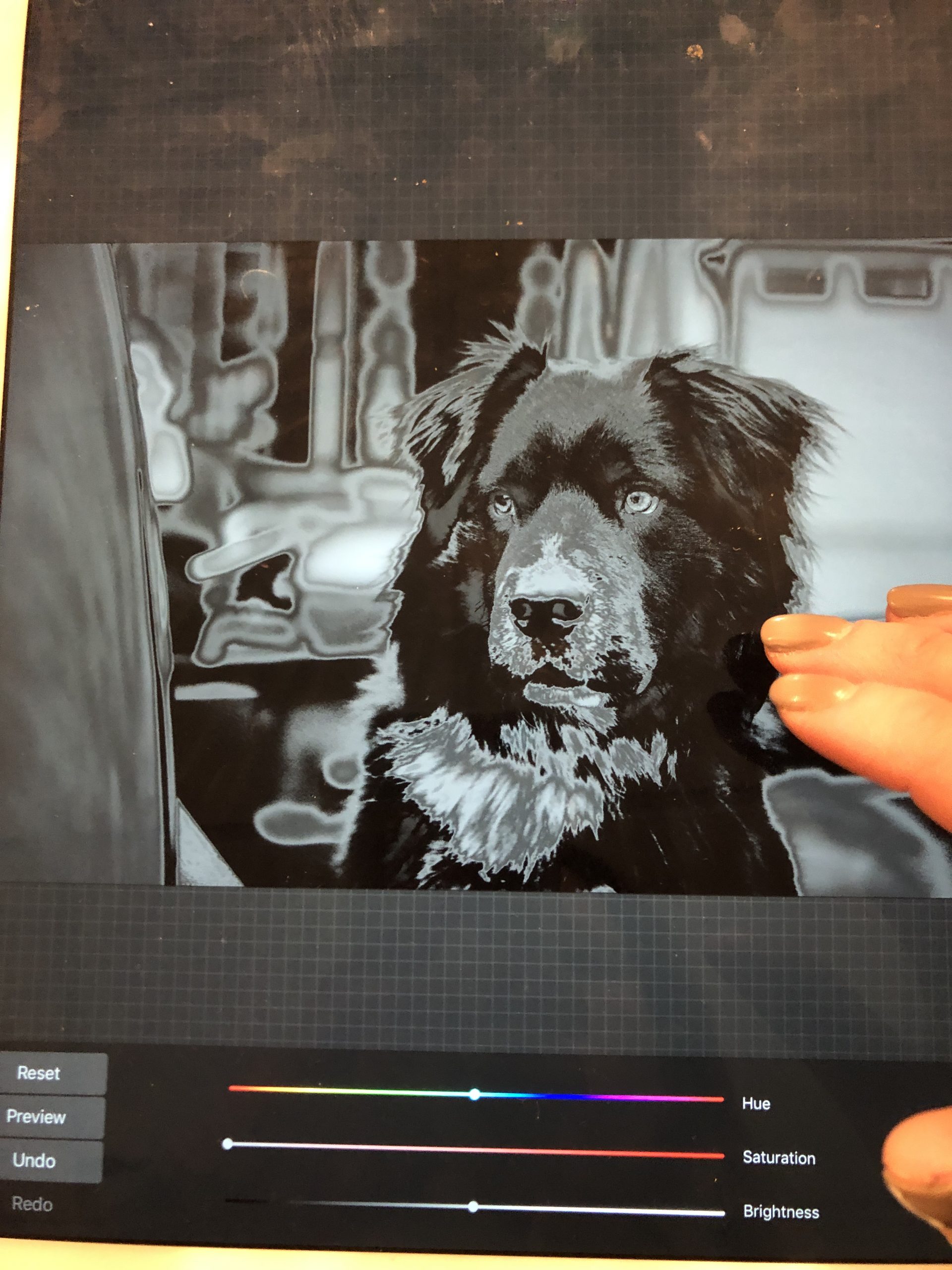 how to make a pet photo into a cut file