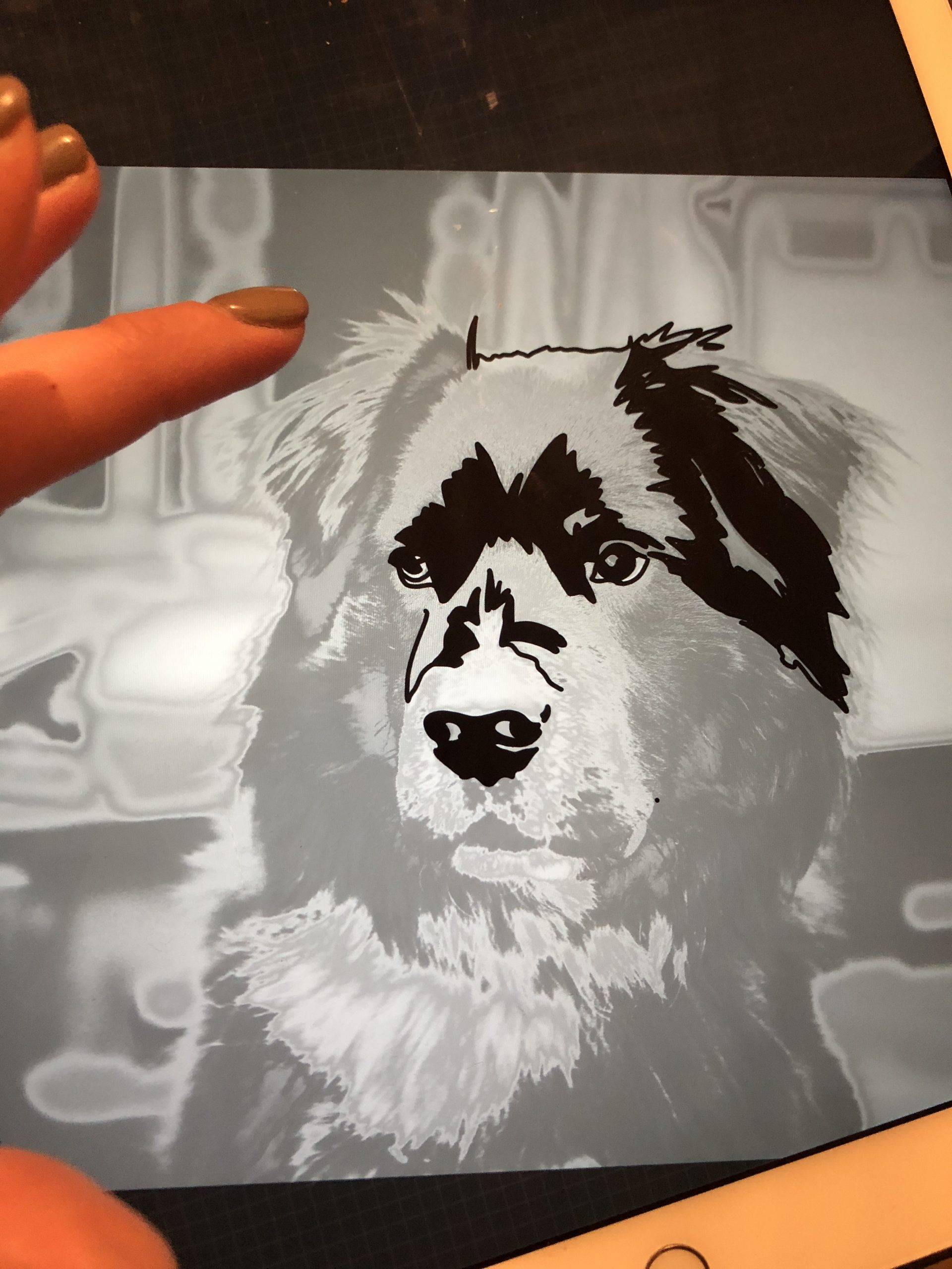 how to make a pet photo into a cut file