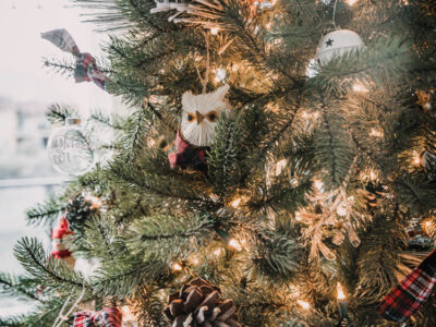 Woodlands animals and red plaid christmas tree decorations